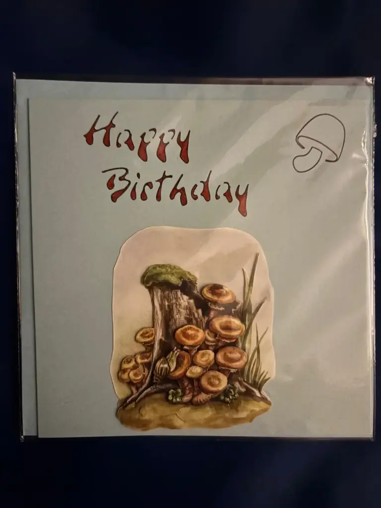Geburtstagskarte 3D mit Pilze